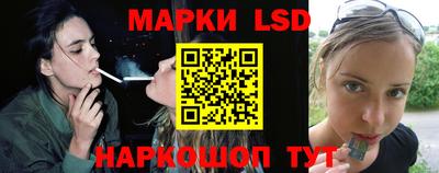 гидропоника Владимир
