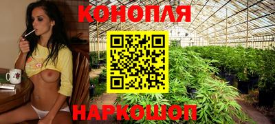 spice Вышний Волочёк