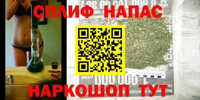 амф Вязьма