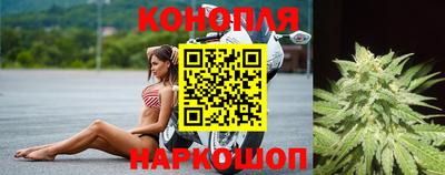 гидропоника Владимир