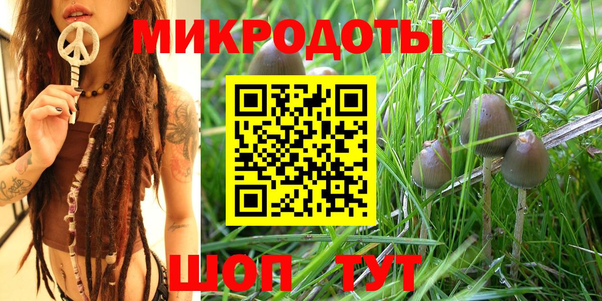 Галлюциногенные грибы Magic Shrooms Камень-на-Оби