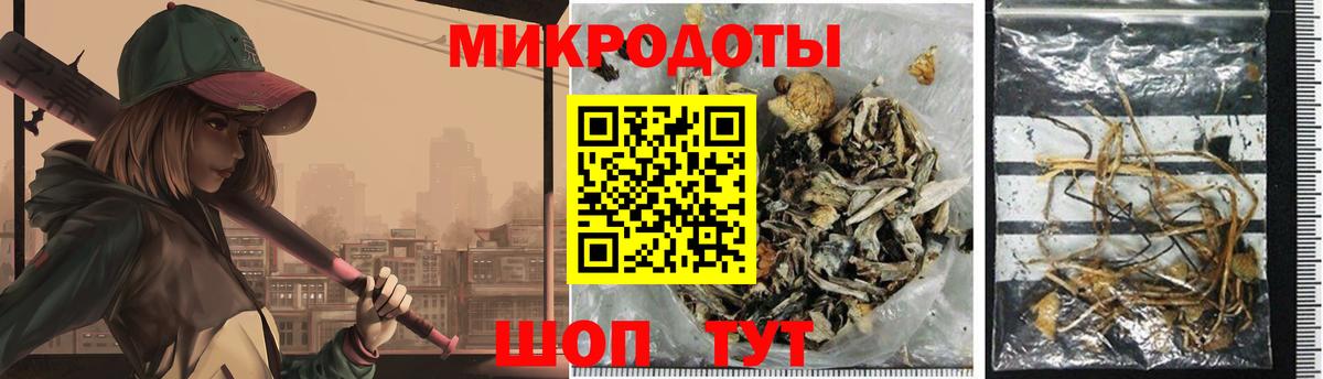 Псилоцибиновые грибы Psilocybine cubensis  где купить наркоту  Камень-на-Оби  Вход с VPN  Галлюциногенные грибы MAGIC MUSHROOMS 