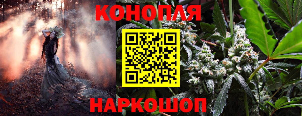 Канабис Amnesia Камень-на-Оби